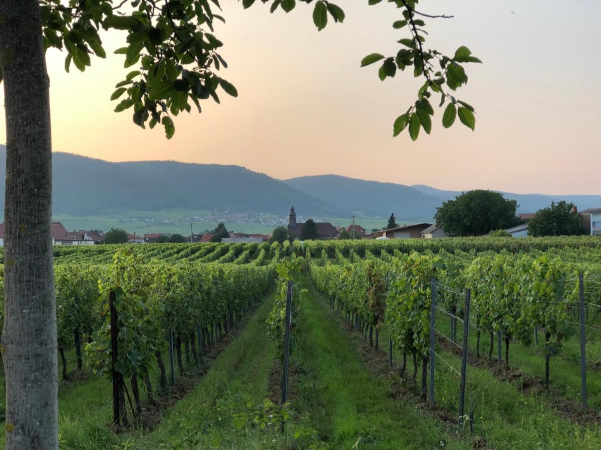 Ferienwohnung Suedpfalz Mit Fernblick Bochingen Exterior foto